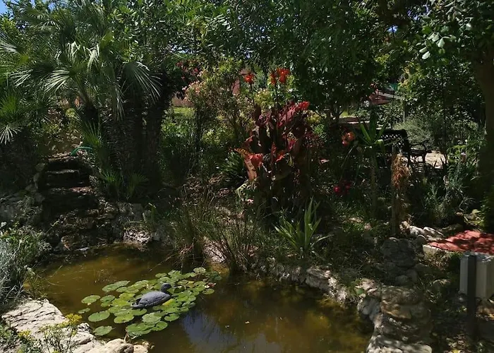 Vivienda Rural La Choza Nyaraló