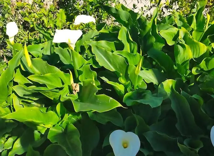 Vivienda Rural La Choza